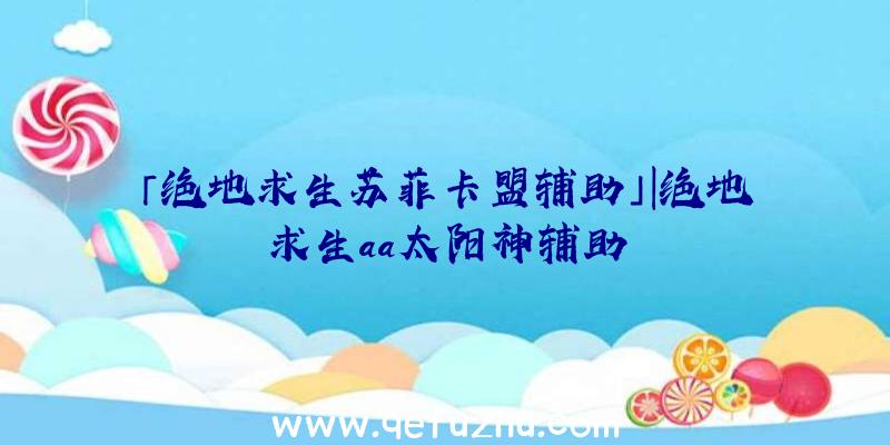 「绝地求生苏菲卡盟辅助」|绝地求生aa太阳神辅助